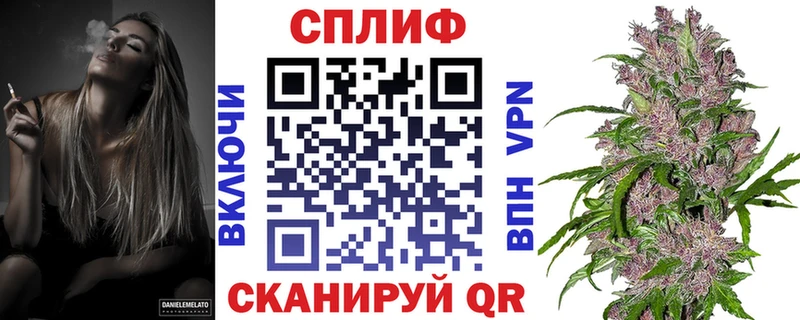 ГАШ Тольятти