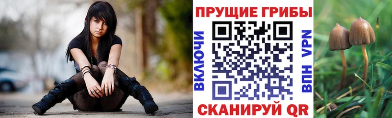 гидра зеркало  Тольятти  Псилоцибиновые грибы ЛСД 
